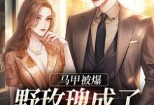 马甲被爆,野玫瑰成了大佬掌中娇这本小说完结了吗?免费查看最新章节-经典文学