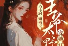 入王府,做通房,王爷太野宠她狂这本小说完结了吗?免费查看最新章节-经典文学