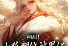 小说《齁甜!小狐狸他被黑化男主吃干抹净》在线章节阅读-经典文学