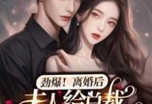 劲爆,离婚后夫人给总裁挂男科了小说,劲爆,离婚后夫人给总裁挂男科了最新章节-经典文学