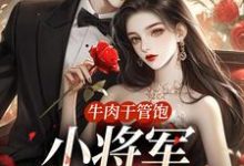 小说《牛肉干管饱,小将军主动入赘》在线章节阅读-经典文学