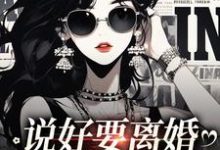 已完结小说《说好要离婚,你怎么后悔了》章节在线阅读-经典文学