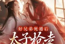 哪里可以免费找到好兄弟死遁后，太子抢走了娇娇？-经典文学
