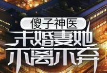 完结版《傻子神医：未婚妻她不离不弃》章节阅读-经典文学