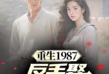 重生1987，反手娶小姨子真香（李峰李援朝李卫国）在线免费阅读-经典文学