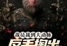 完结版《裁员裁到大动脉,反手掏出黑神话》章节阅读-经典文学