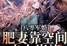 哪里能找到八零军婚:肥妻靠空间走上巅峰小说的全部章节?-经典文学