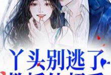 丫头别逃了!教授他超爱小说完结了吗?在哪里可以免费读到?-经典文学
