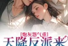 南浔小说《炮灰怨气重！天降反派来惩戒男主了》在线阅读-经典文学