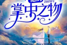 哪里能找到他的掌中之物小说的全部章节？-经典文学