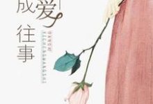 当爱已成往事晏南衡苏若宋之遥,当爱已成往事章节在线阅读-经典文学
