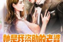 她是我资助的老婆，谁敢忽悠？顾沉沈南枝，她是我资助的老婆，谁敢忽悠？章节在线阅读-经典文学