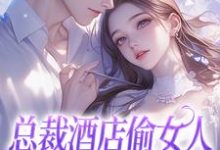 总裁酒店偷女人,我站门口帮看风小说的无弹窗阅读体验,寻找免费阅读网站-经典文学