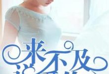 洛晓晓肖然小说完结版在线阅读，来不及说爱你免费看-经典文学