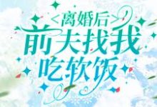 完结版《离婚后，前夫找我吃软饭》在线免费阅读-经典文学