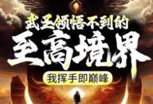 完结版《武圣领悟不到的至高境界,我挥手即巅峰》章节阅读-经典文学