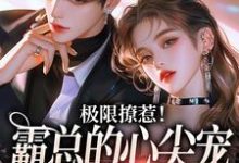 极限撩惹！霸总的心尖宠又疯又野小说有没有完结版在线？-经典文学