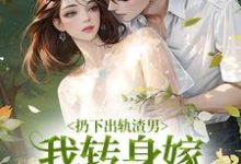 哪里可以免费找到扔下出轨渣男，我转身嫁绝嗣大佬？-经典文学