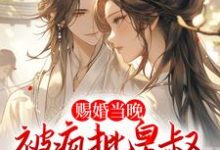 沈御时姜宁小说赐婚当晚,被疯批皇叔强取豪夺在线阅读-经典文学