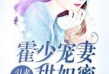 引妻入怀:霍少宠妻甜如蜜小说全文阅读需要付费吗?寻找免费资源-经典文学