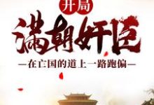 开局满朝奸臣:在亡国的道上一路跑偏小说有没有完结版在线?-经典文学