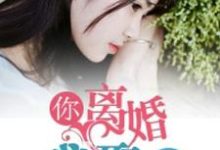 免费在线阅读你离婚,我娶你小说的正规网站有哪些?-经典文学