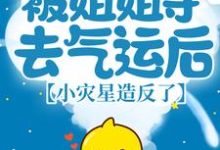 被姐姐夺去气运后，小灾星造反了小说全文哪里可以免费看？-经典文学