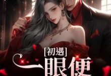 初遇：一眼便定下终生章节免费在线阅读，沐芷妍林浩然完结版-经典文学