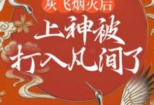 灰飞烟灭后，上神被打入凡间了苏冉冉墨倾尘，灰飞烟灭后，上神被打入凡间了章节在线阅读-经典文学