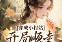 穿成小村姑，开局顺走婆家银子小说，穿成小村姑，开局顺走婆家银子章节在线阅读-经典文学