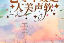 林希陆正青小说在线章节免费阅读(七零军嫂她人美声软无弹窗无删减)-经典文学