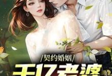 《契约婚姻:千亿老婆太撩人》全集免费在线阅读(沈浪沈妙涵)-经典文学
