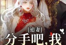 追妻：分手吧，我不哄你了小说无弹窗阅读的网站推荐-经典文学