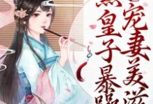 小说《庶女崛起!腹黑皇子暴躁宠妻美滋滋》章节免费阅读-经典文学