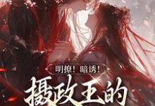宋婉沈君铎小说在线章节免费阅读(明撩!暗诱!摄政王的外室不好当无弹窗无删减)-经典文学