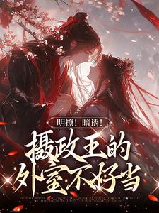 宋婉沈君铎小说在线章节免费阅读（明撩！暗诱！摄政王的外室不好当无弹窗无删减）