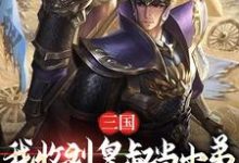 三国：我收刘皇叔当小弟，拥汉为王小说无弹窗阅读的网站推荐-经典文学
