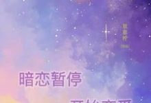 小说《暗恋暂停，开始恋爱》在线章节阅读-经典文学