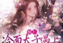 完整版的惊!冷面太子遇上刁蛮女杀手小说在哪里可以免费读到?-经典文学
