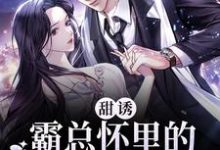 《甜诱！霸总怀里的小妖精超撩人》小说章节列表免费试读， 夏沫夜爵小说在线阅读-经典文学