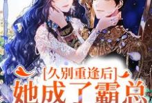 已完结小说《久别重逢后，她成了霸总的白月光》章节在线阅读-经典文学