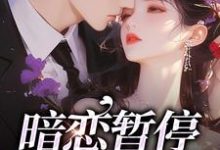 宋霜序贺庭洲小说叫什么（暗恋暂停，开始恋爱免费阅读）-经典文学