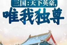 完结版《三国：天下英豪，唯我独尊！》章节阅读-经典文学