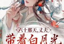 《六十那天,丈夫带着白月光回府了》全集免费在线阅读(宋瑛)-经典文学