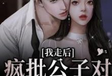 《我走后，疯批公子对我相思入骨》小说章节列表免费试读，燕仪沈誉卿小说在线阅读-经典文学