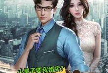 让你给小舅子买房，你把他女友娶了？这本小说完结了吗？免费查看最新章节-经典文学