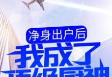 秦凡白姚小说净身出户后，我成了顶级厨神章节免费阅读-经典文学