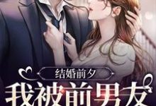 求结婚前夕,我被前男友带走了小说的全文免费阅读链接-经典文学