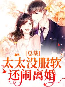 总裁，太太没服软还闹离婚小说，总裁，太太没服软还闹离婚章节在线阅读