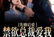 先婚后爱:禁欲总裁爱我到无法自拔小说无弹窗阅读的网站推荐-经典文学